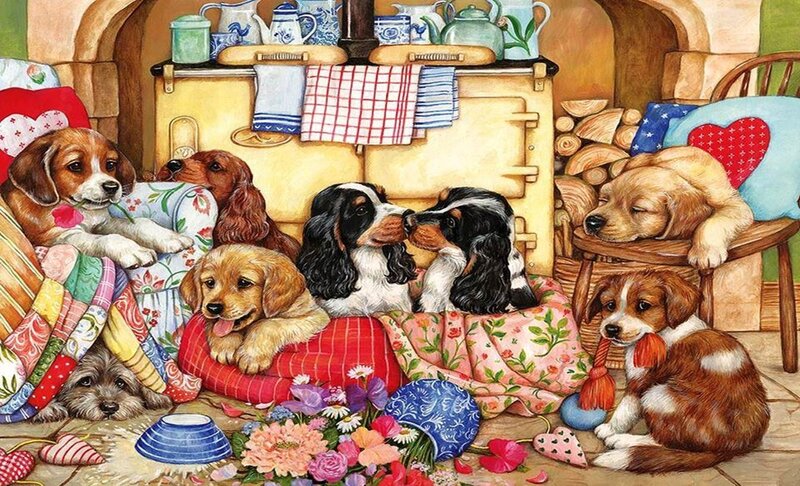 Puppies in a Kitchen — Brown