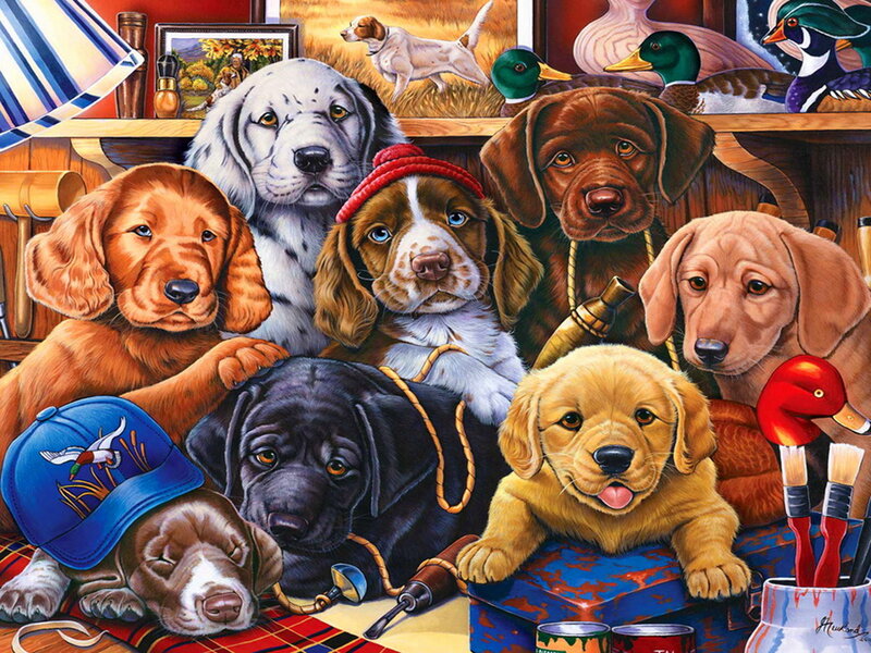 Puppies in a Workshop