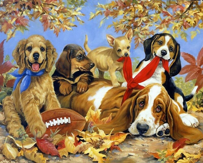 Puppies in Autumn Leaves