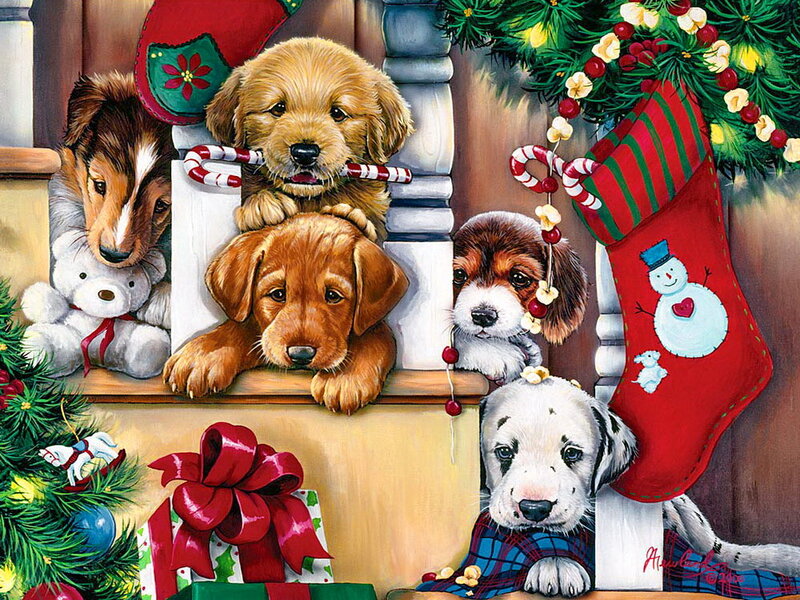 Puppies in Christmas Scene — Red