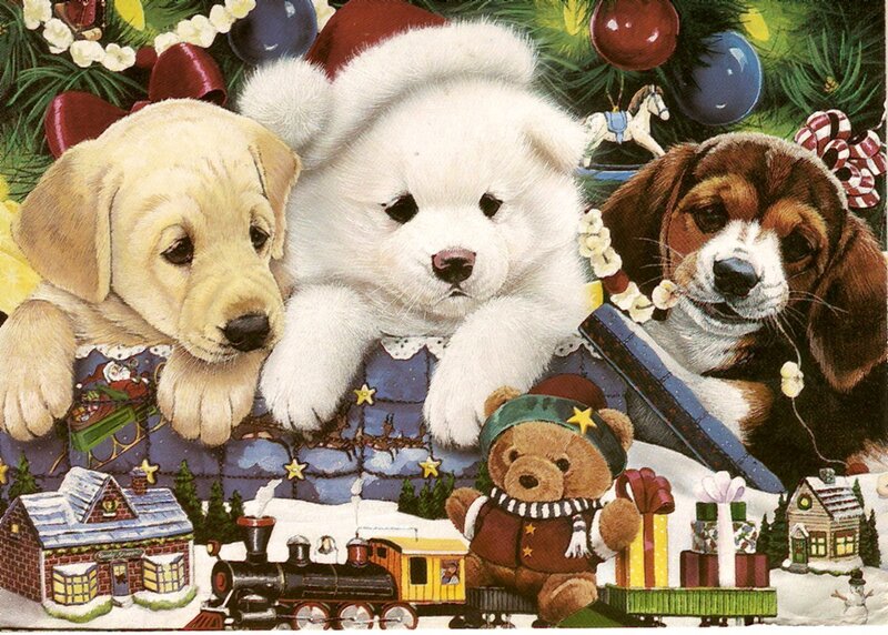 Puppies in Christmas scene