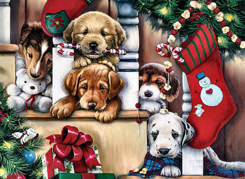 Puppies in Christmas Setting