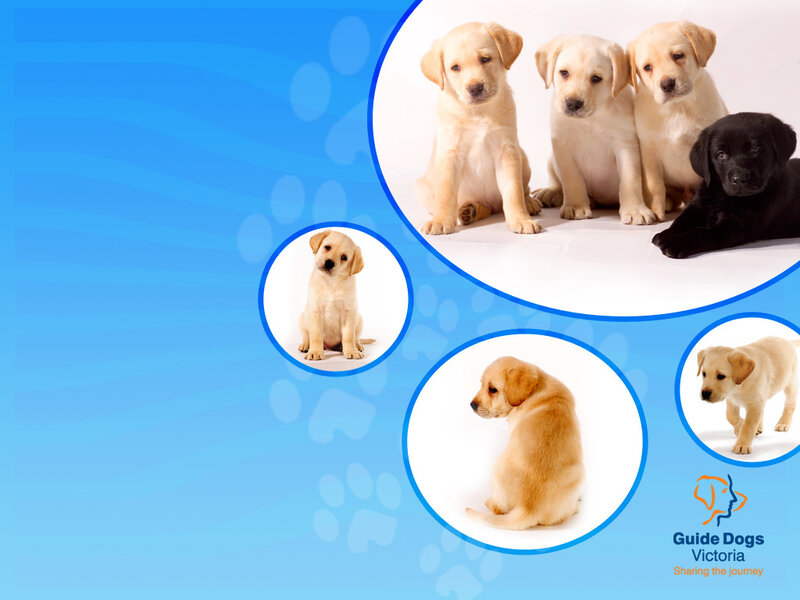Puppies in Circles