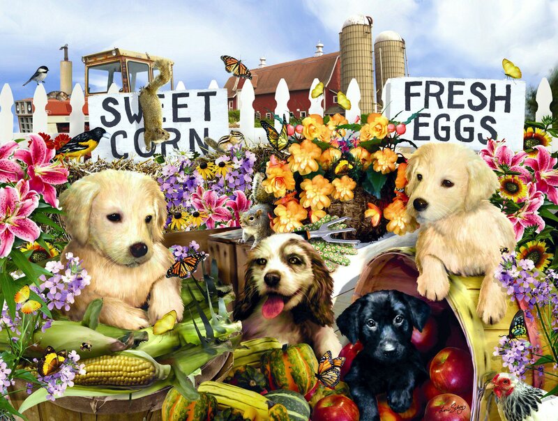 Puppies in Farm Market