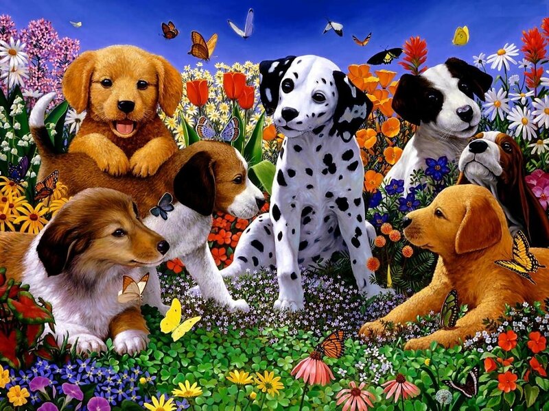 Puppies in Flowers