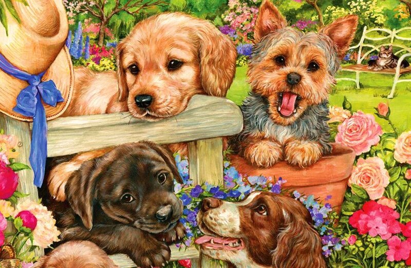 Puppies in Garden — Green, Cheerful, Spring