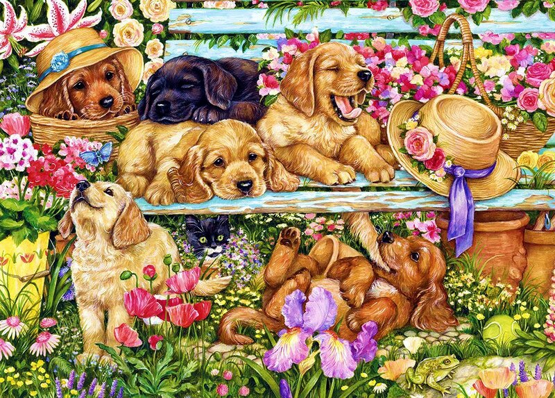 Puppies in Garden — Green, Cheerful
