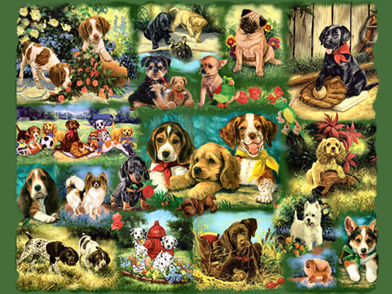 Puppies in Garden Scenes