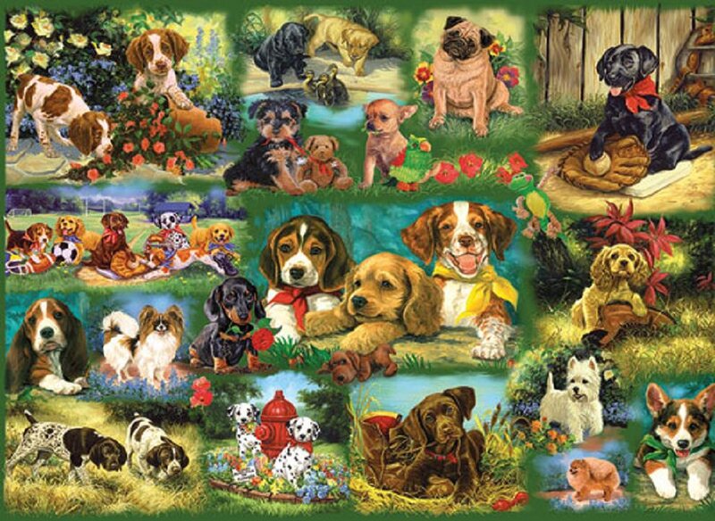 Puppies in Garden