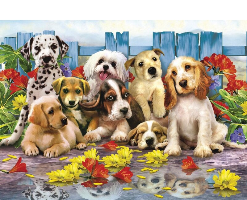 Puppies in Garden — Yellow, Cheerful