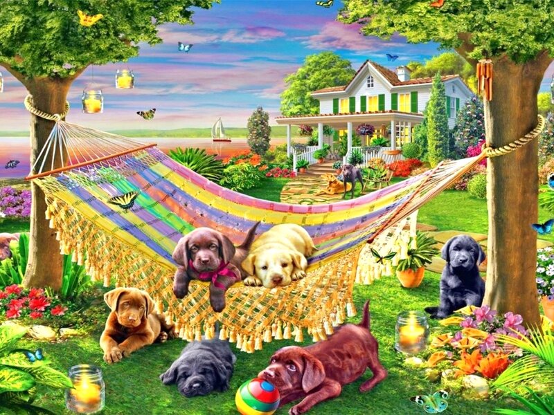 Puppies in Hammock — Green