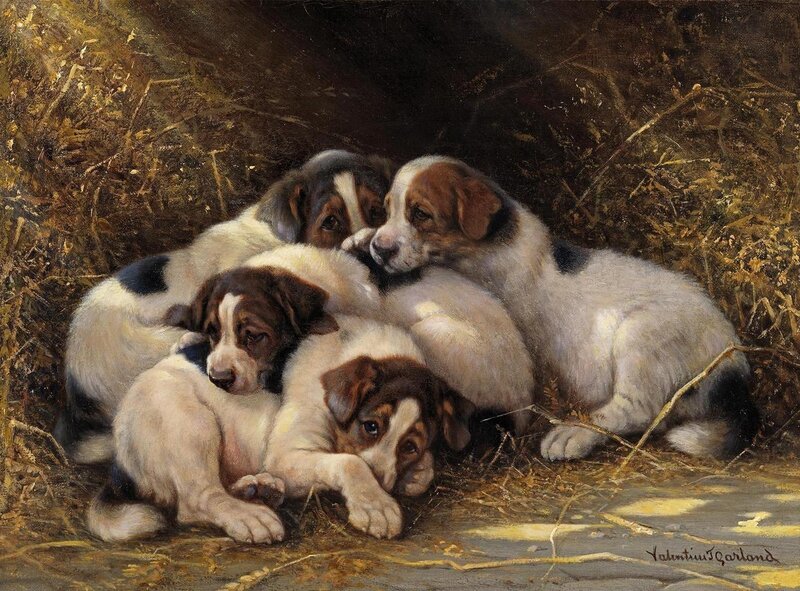 Puppies in Hay