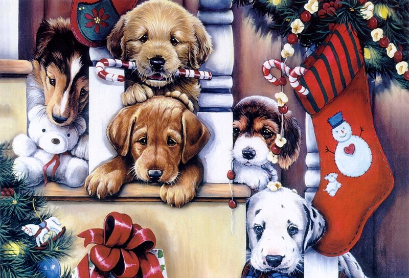 Puppies in Holiday Setting