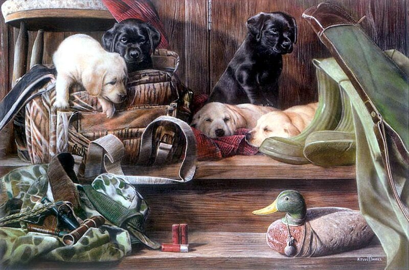 Puppies in Hunting Gear