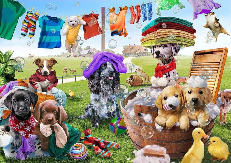 Puppies in Laundry