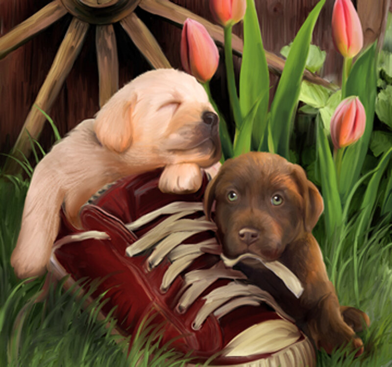 Puppies in Red Shoe