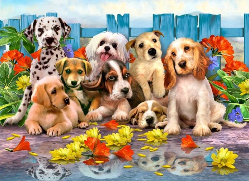 Puppies in Water