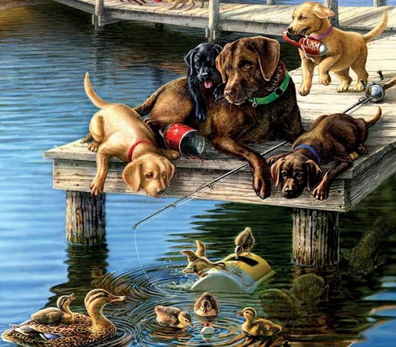 Puppies on a Dock