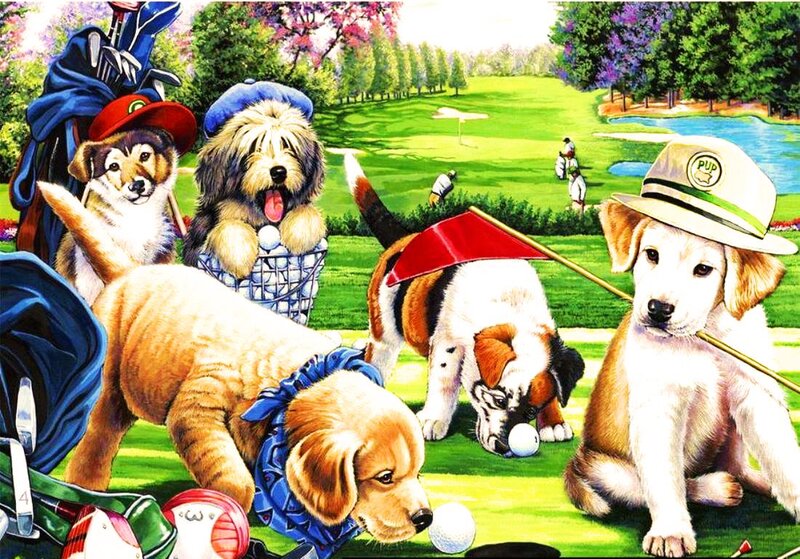 Puppies on a Golf Course