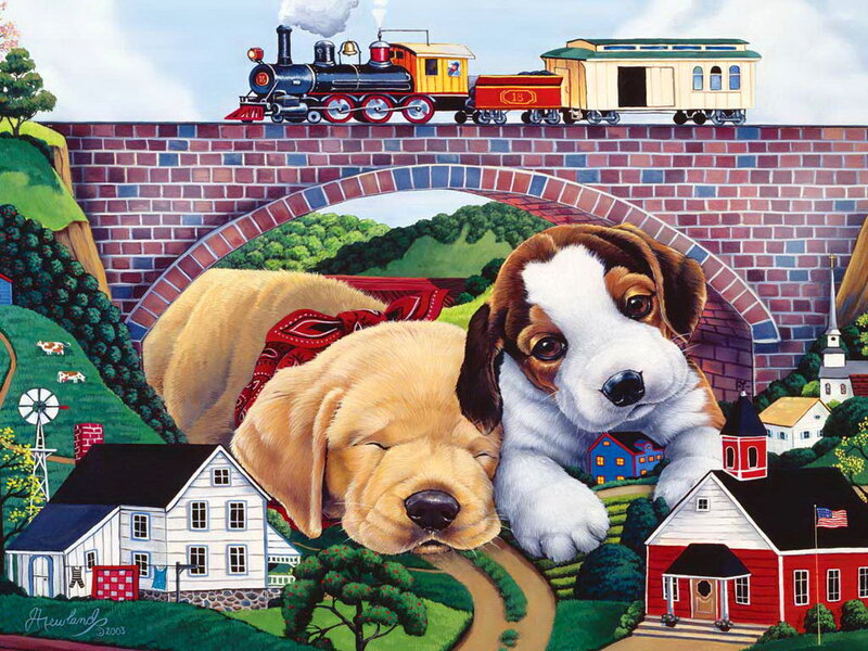 Puppies on a Hill
