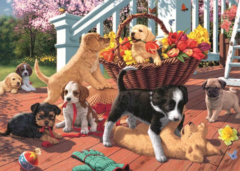 Puppies on Porch