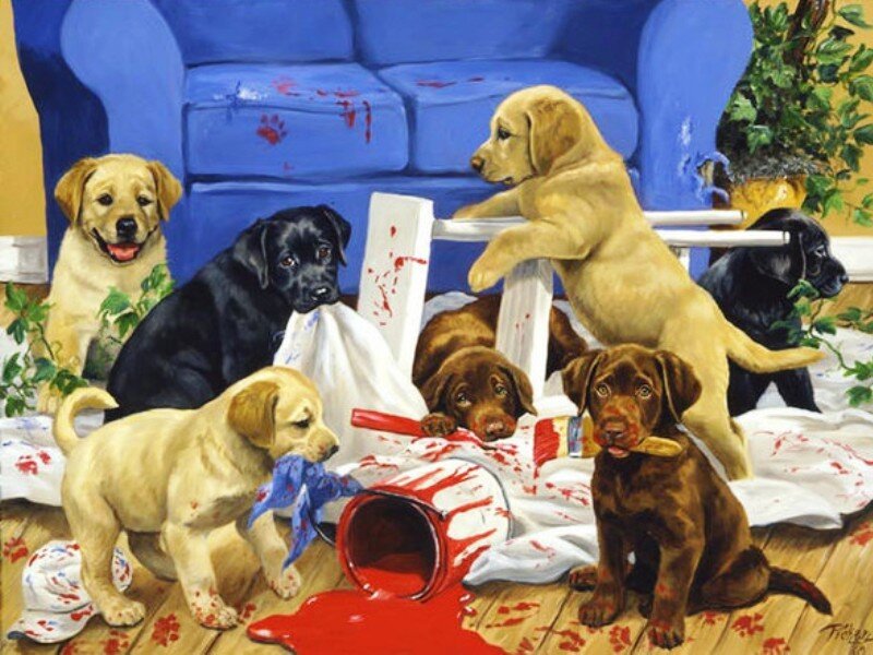 Puppies Painting Room