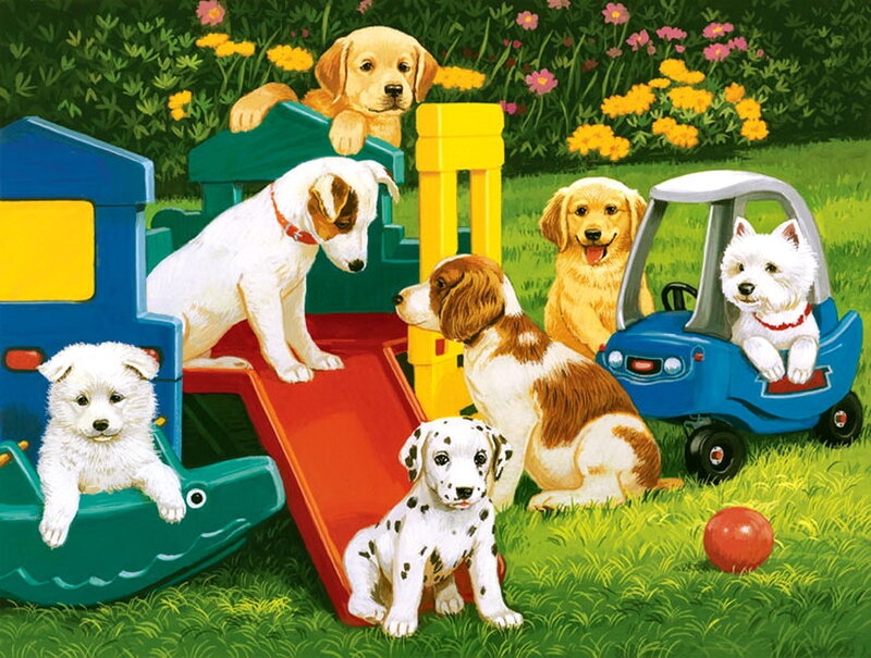 Puppies Playing in Garden