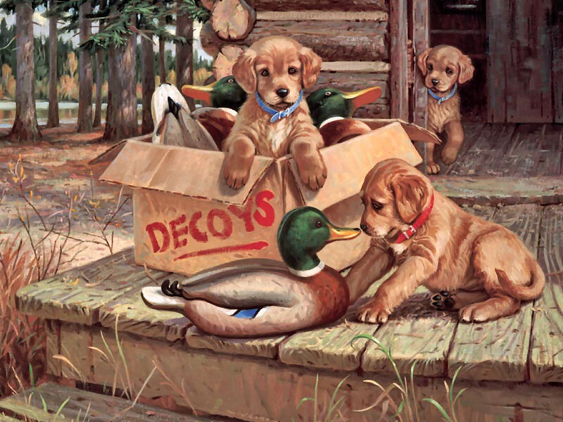 Puppies with Duck Decoys — Brown, Peaceful