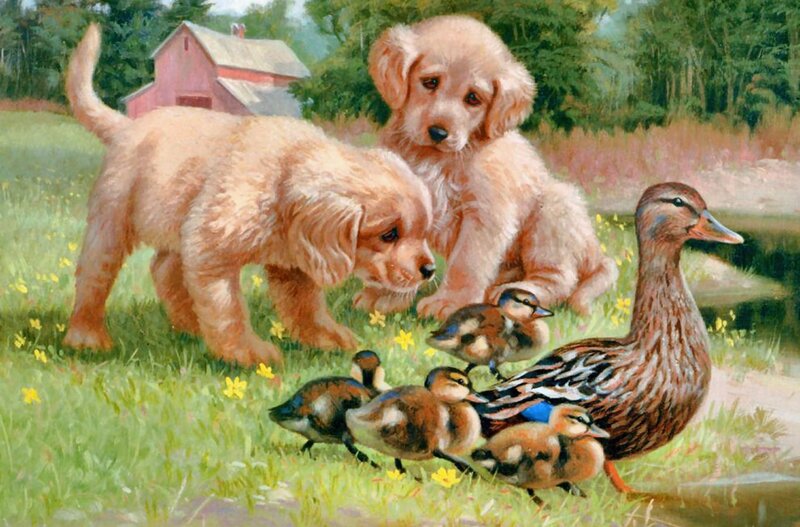 Puppies with Ducklings — Green