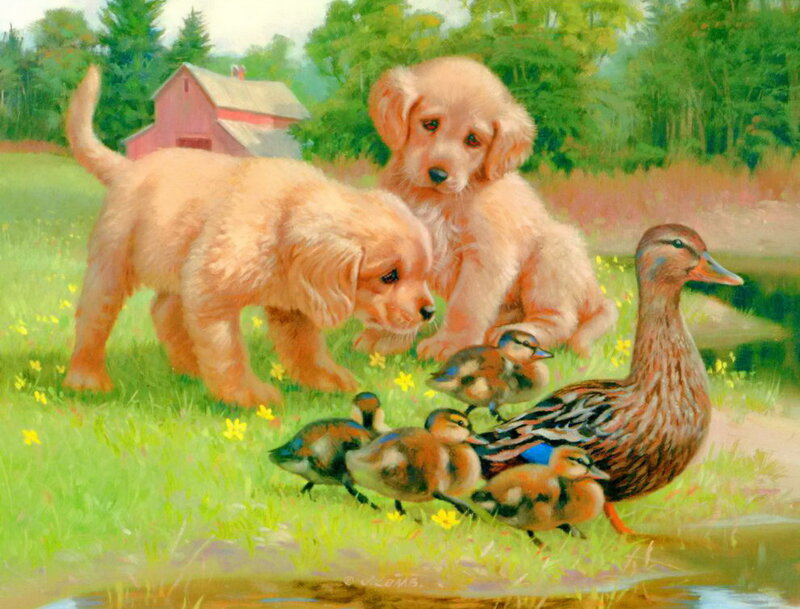 Puppies with Ducklings