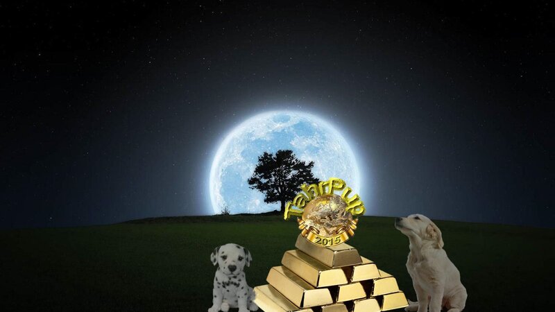 Puppies with Gold Bars