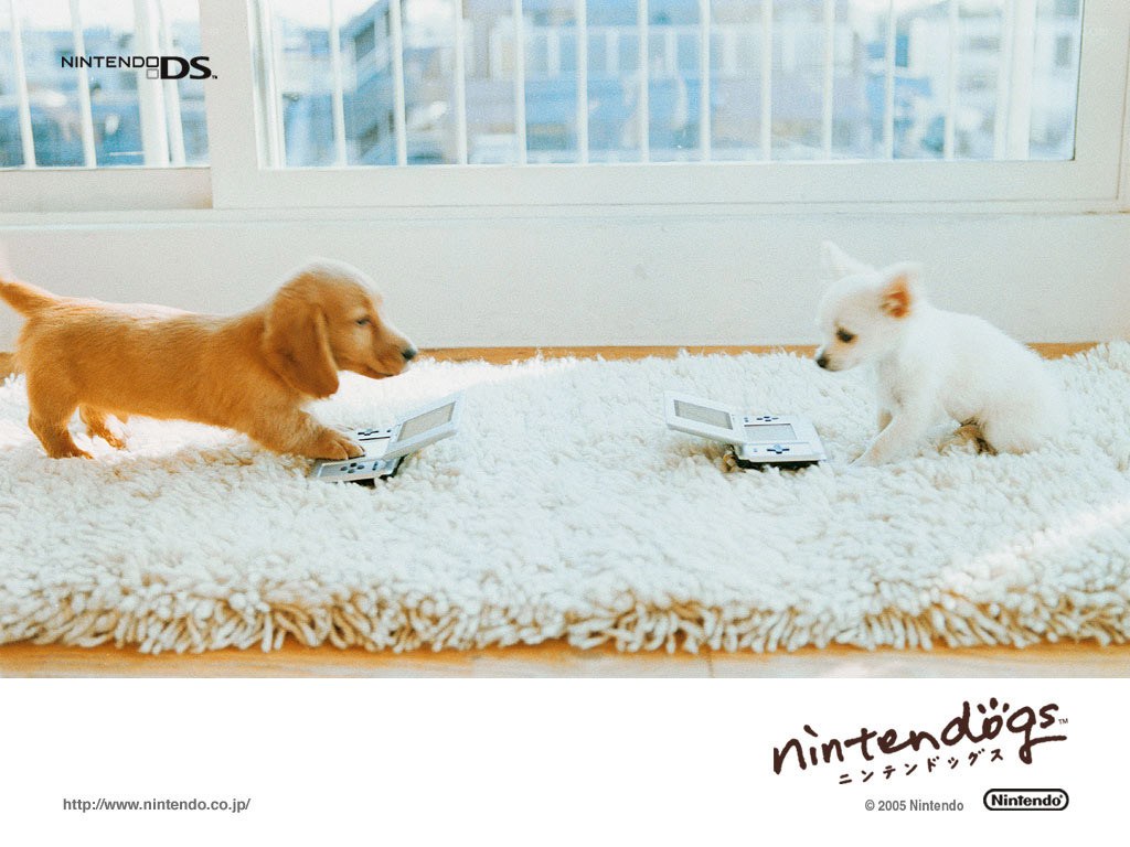 puppies with nintendo ds