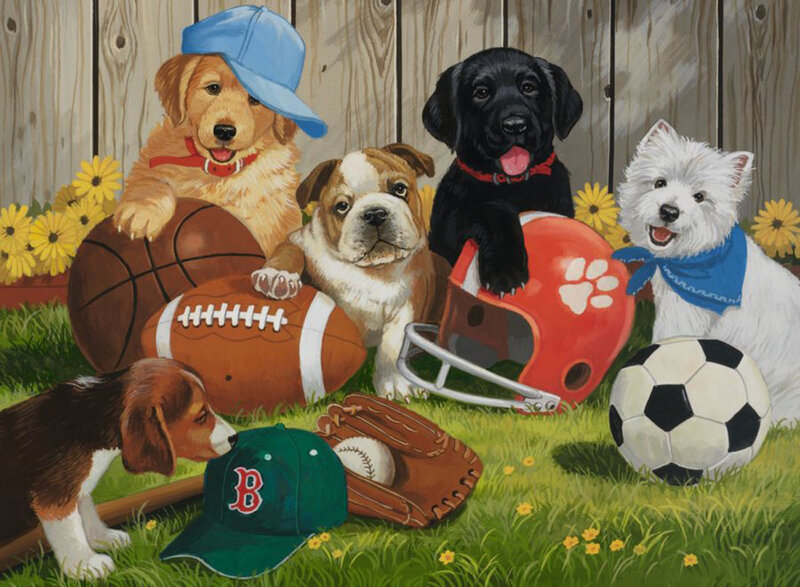 Puppies with Sports Gear
