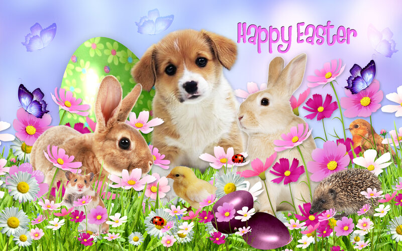Puppy and Bunnies in Flowers