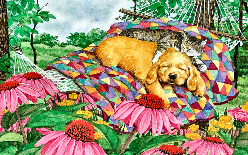 Puppy and Cat in Hammock