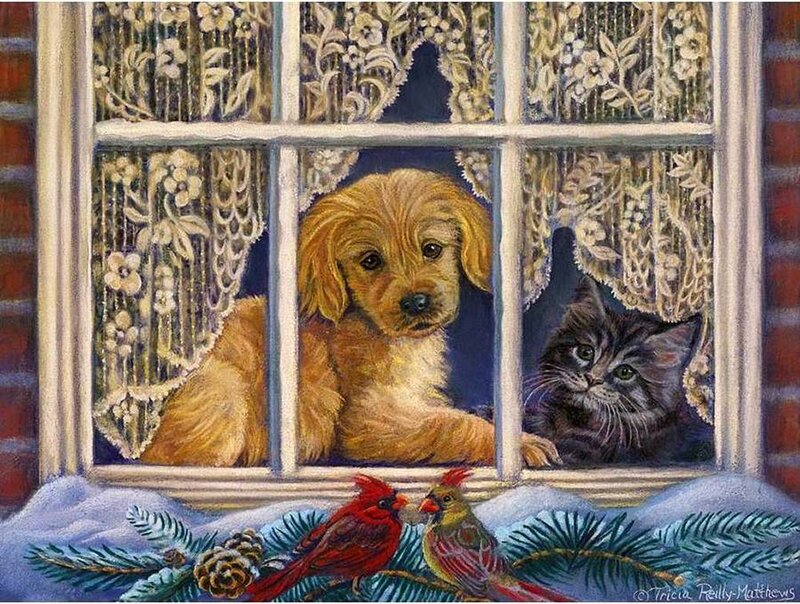 Puppy and Kitten at Window