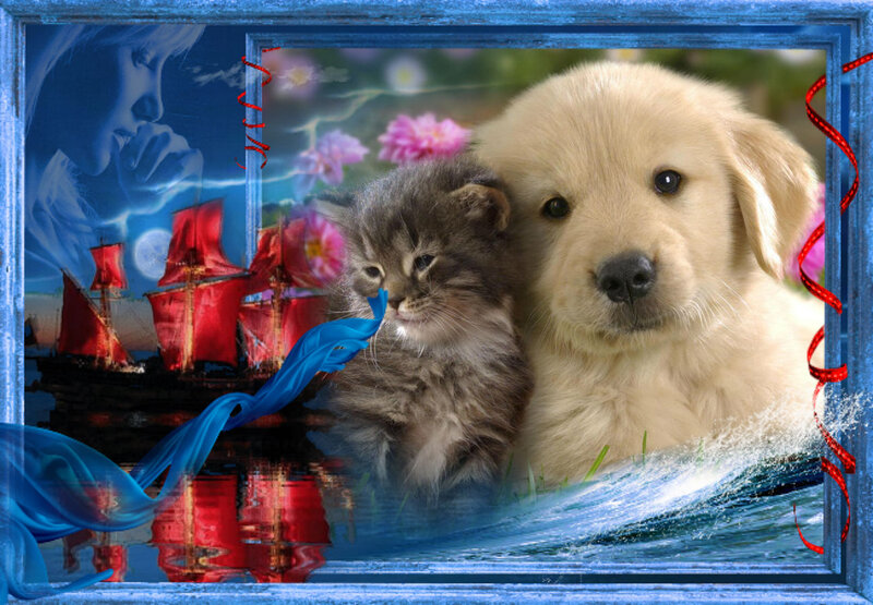 Puppy and Kitten — Blue, Dreamy