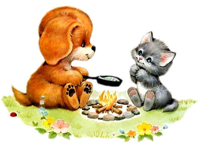 Puppy and Kitten Camping