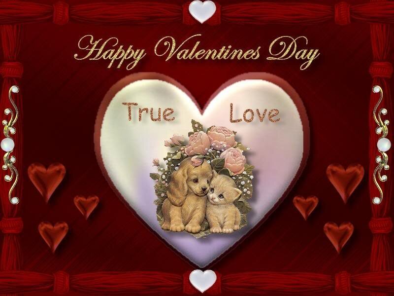 Puppy and Kitten in Heart