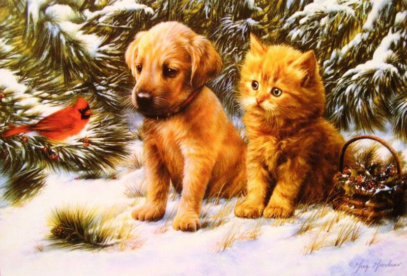 Puppy and Kitten in Snow — White