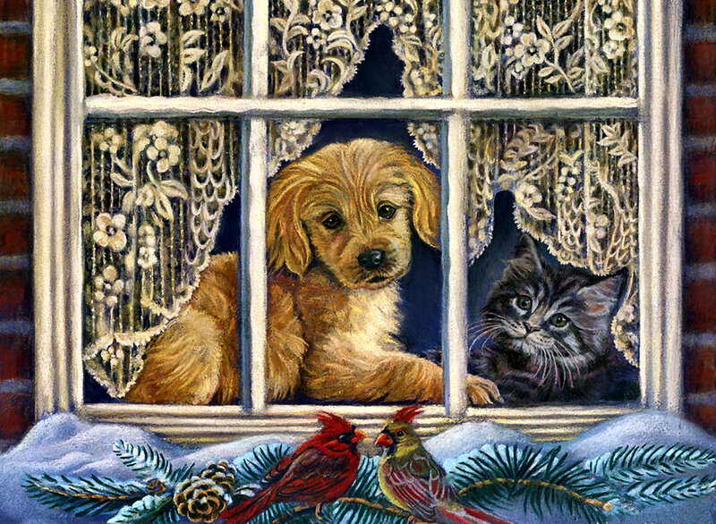 Puppy and Kitten in Window