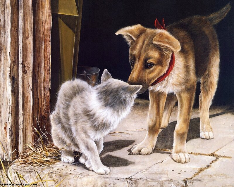 Puppy and kitten meeting