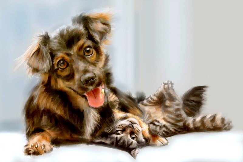 Puppy and Kitten Playing — Brown, Playful