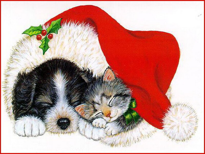 Puppy and Kitten Sleeping — Red, Peaceful, Winter