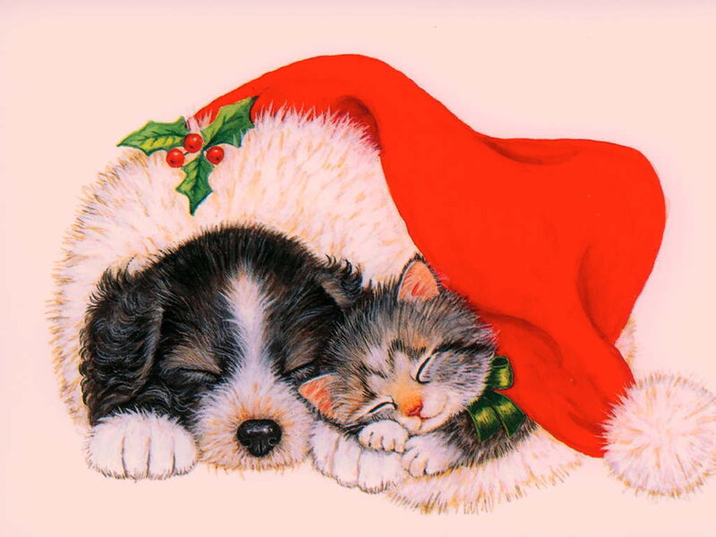 Puppy and Kitten Sleeping — Red