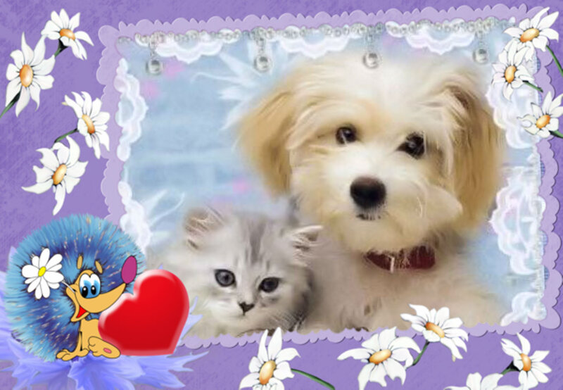 Puppy and Kitten Together — Purple