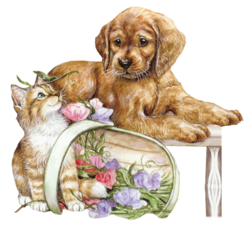 Puppy and Kitten with Flowers