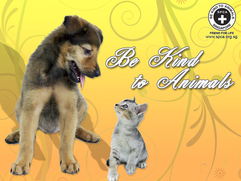 Puppy and Kitten — Yellow