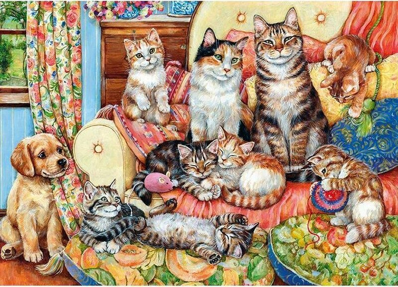 Puppy and Kittens on Sofa