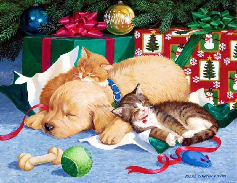 Puppy and Kittens Sleeping — Green, Peaceful
